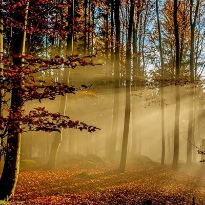 亿博体育app的下载方式